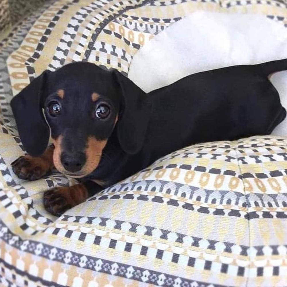 I love offers..So go ahead and make one.